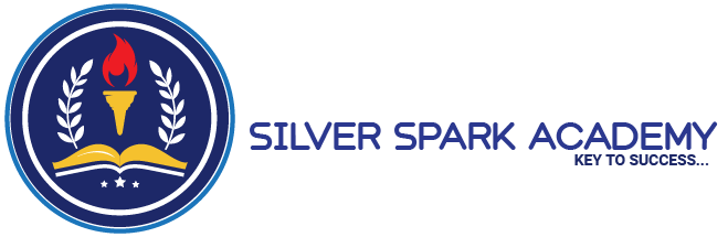 Silver Sparks Education Consultant